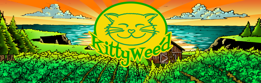 KittyWeed Facts