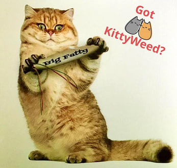 Got KittyWeed?
