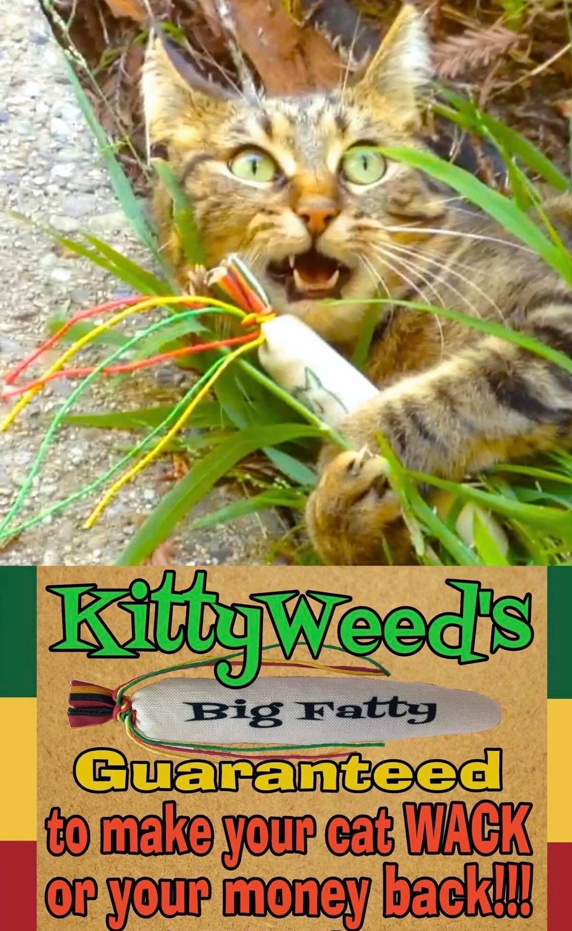 KittyWeed Original Big Fatty Catnip Cat Toy